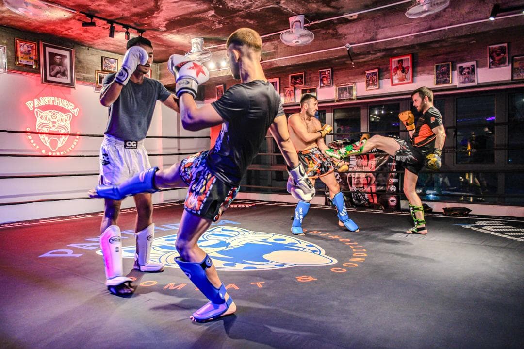 Panthera Combat & Conditioning